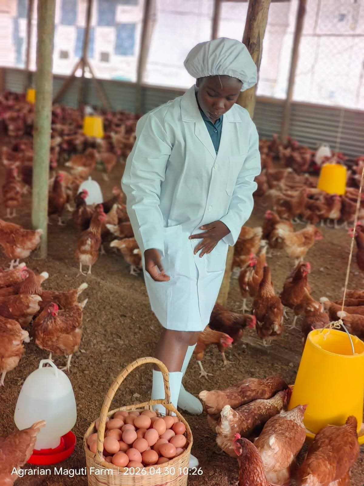 Poultry Farm